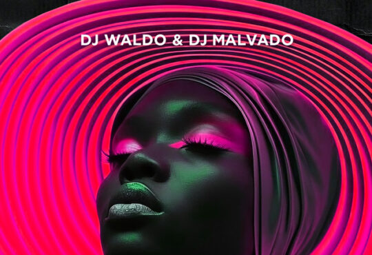 Dj Waldo – Lights (feat. DJ Malvado)