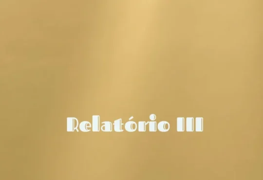 Rei Bravo – Relatório III