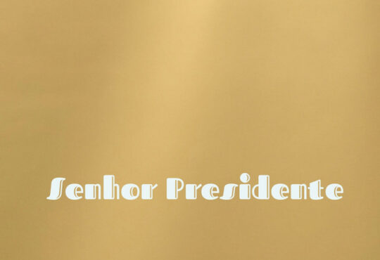 Rei Bravo – Senhor Presidente